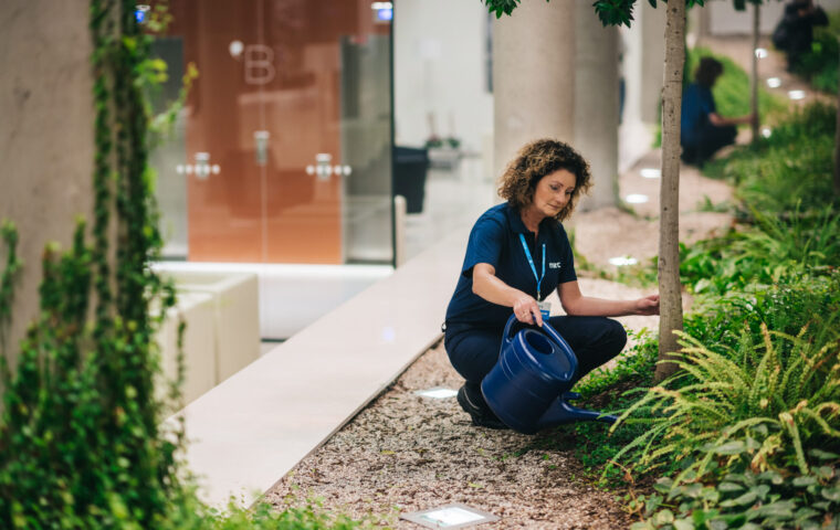 udrzba vnitrni zelene