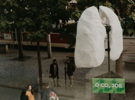 Střežíme model lidských plic z M2C Space