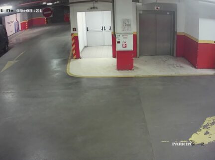 Нашите служители от българския парков център София са героите на Коледа